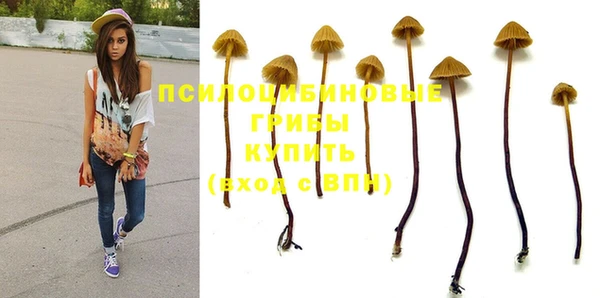 а пвп мука Абинск