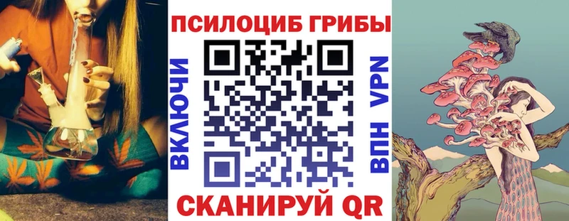 Галлюциногенные грибы Magic Shrooms  Тында 